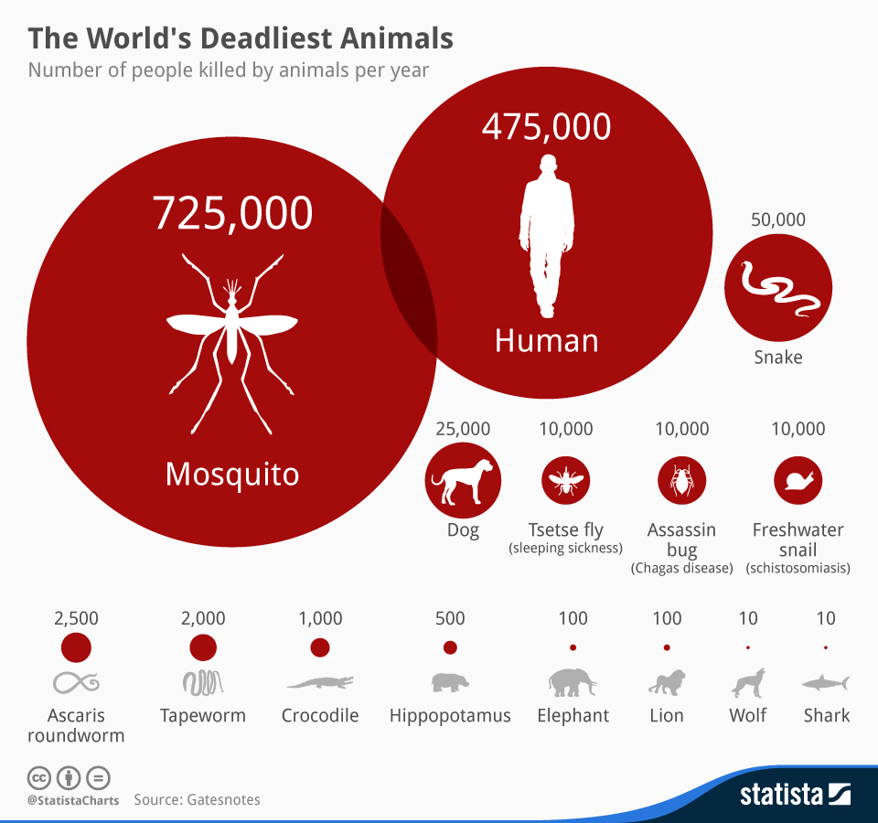 https://www.statista.com/chart/2203/the-worlds-deadliest-animals/